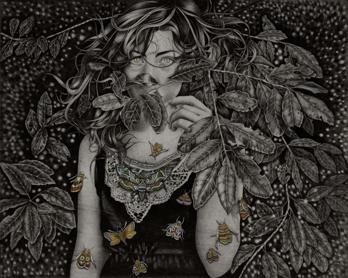 'Daphnis-Nerii'_40x50cm_graphite,watercolorink-on-wood_2012