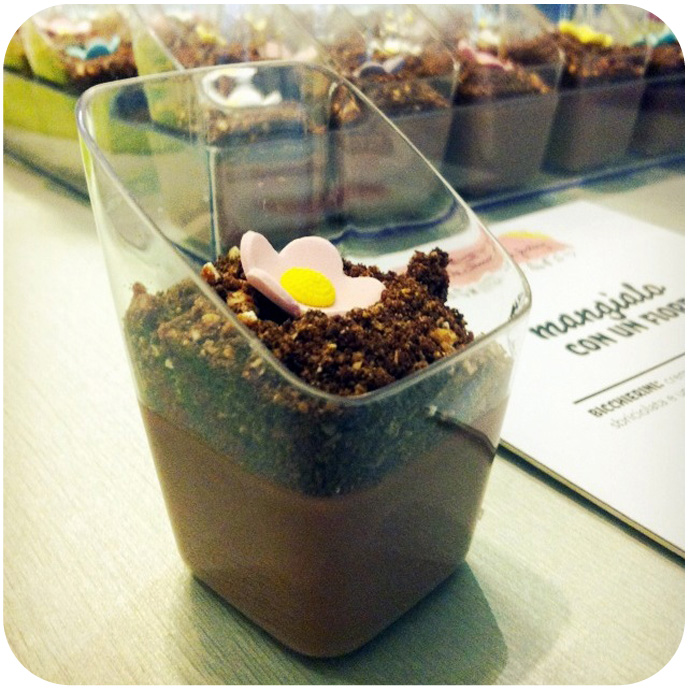2_piantine_cioccolatow