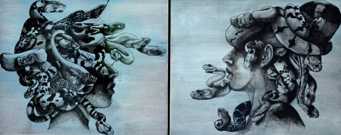 medusa study