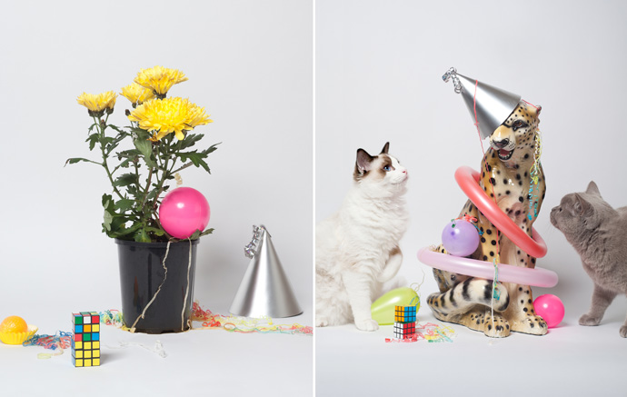Art Direction and Styling