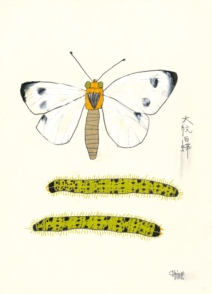 daimon_01