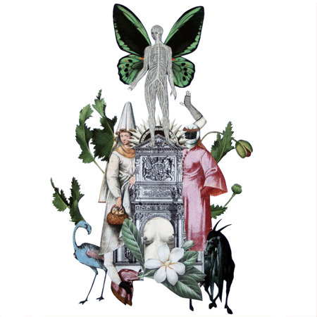 INTERVIEW <br />*FRANCESCO VISCUSO